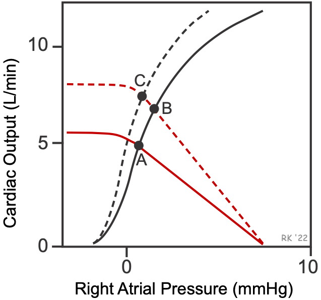 Vasodilator effects on CV function curves